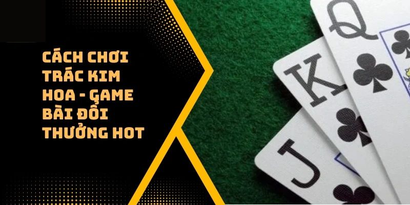 Luật lệ và thuật ngữ phổ biến của Trác Kim Hoa
