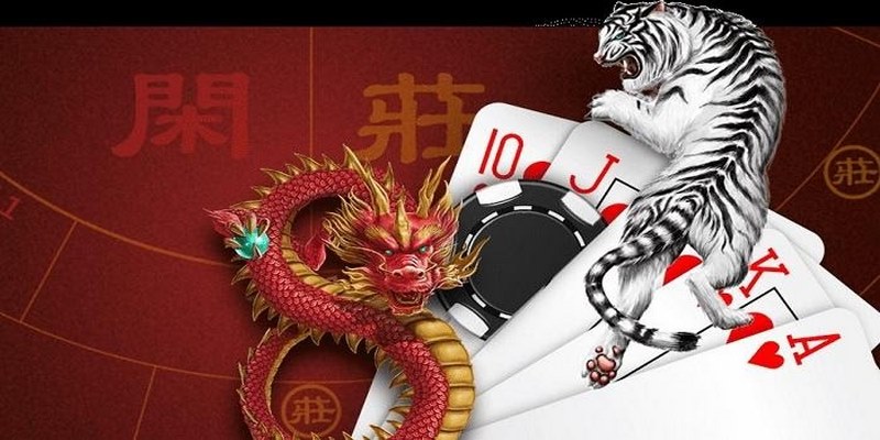 Cách Chơi Rồng Hổ Và Các Thuật Ngữ Thông Dụng Tại Vin777