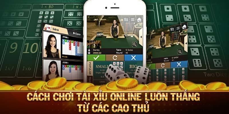 Luật chơi và cửa cược của tài xỉu online