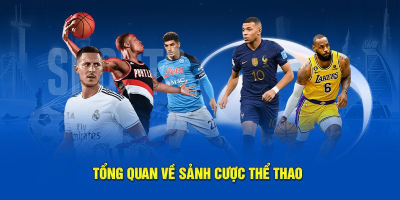 Lý do S - Sports được ưa chuộng hàng đầu