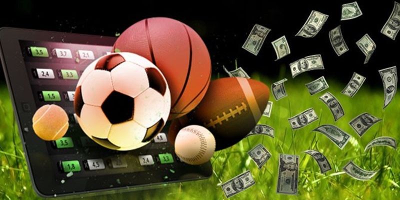 Tìm hiểu thông tin về sảnh S - Sports uy tín