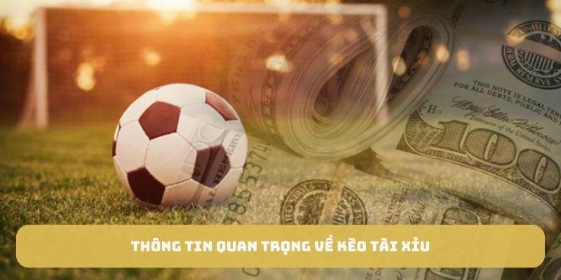 Tìm hiểu về kèo tài xỉu là gì?