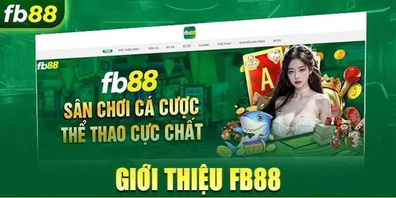 Những đặc điểm nổi bật nhất của Link vào FB88