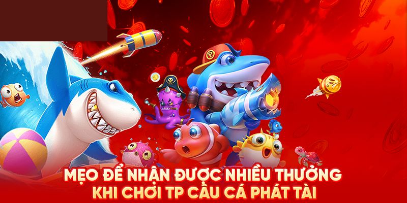 Điểm hấp dẫn của TP câu cá phát phát