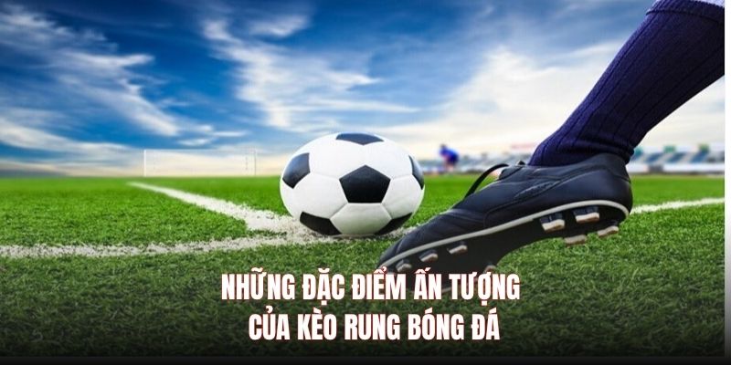 Các loại kèo rung phổ biến 