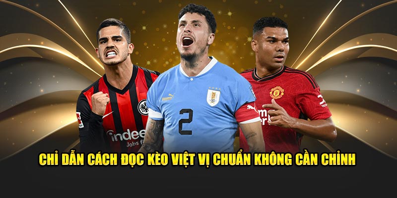 Hướng dẫn cách đọc kèo việt vị và hiểu tỉ lệ nhà cái đưa ra