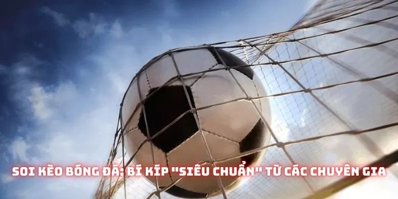 Top 3+ mẹo soi kèo 3 trái từ chuyên gia