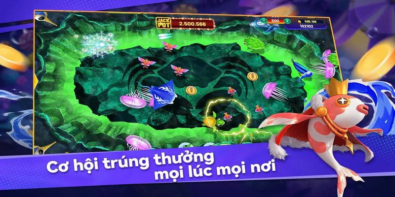 Chơi săn cá online và một số lưu ý quan trọng