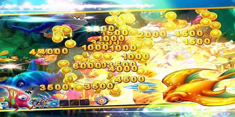Top 3 kinh nghiệm săn cá hốt trọn tiền thưởng