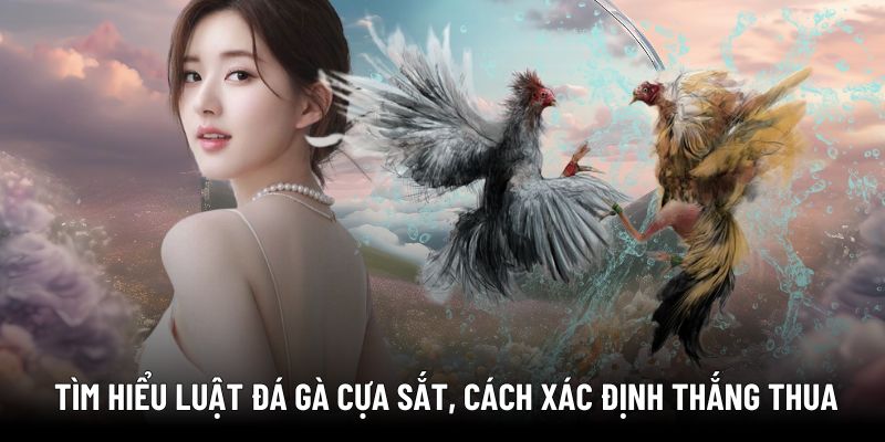 Hướng dẫn tham gia đá gà cựa sắt trực tuyến