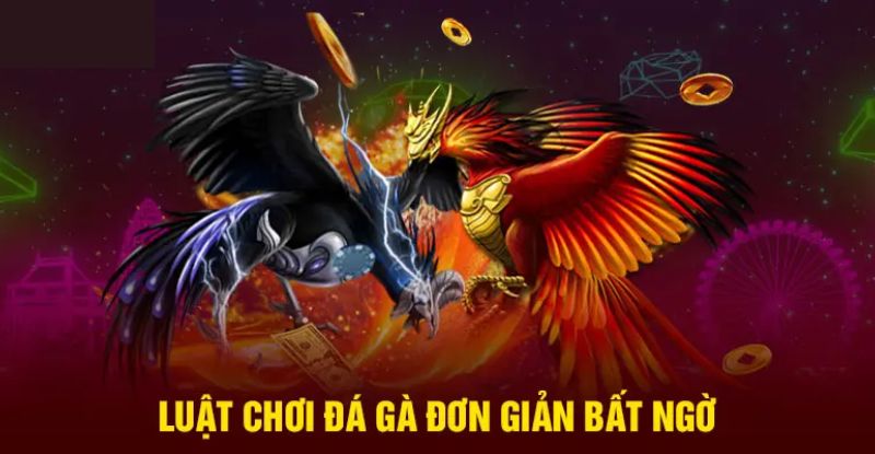 Các hình thức đá gà Campuchia hôm qua hấp dẫn nhất