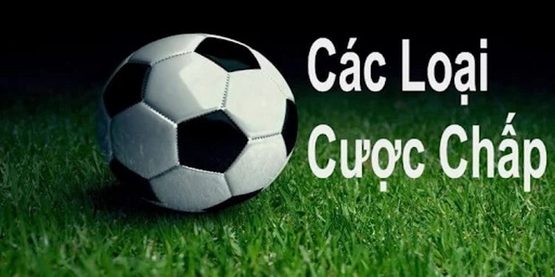Cách chơi cược chấp cơ bản