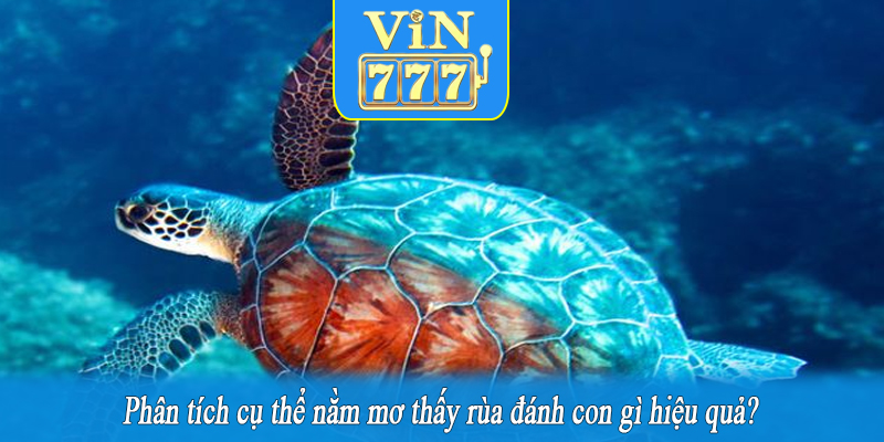Phân tích cụ thể nằm mơ thấy rùa đánh con gì hiệu quả?